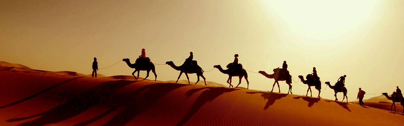 Die Top 5 Wüstentouren & Wüstensafari in Sahl Hasheesh 2024